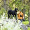Woolly Wolf hundsele - Woodland - Bild 2