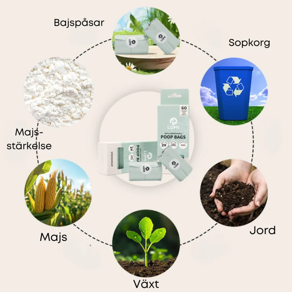 100% komposterbara hundbajspåsar med handtag & Kamomill Doft - Bild 3
